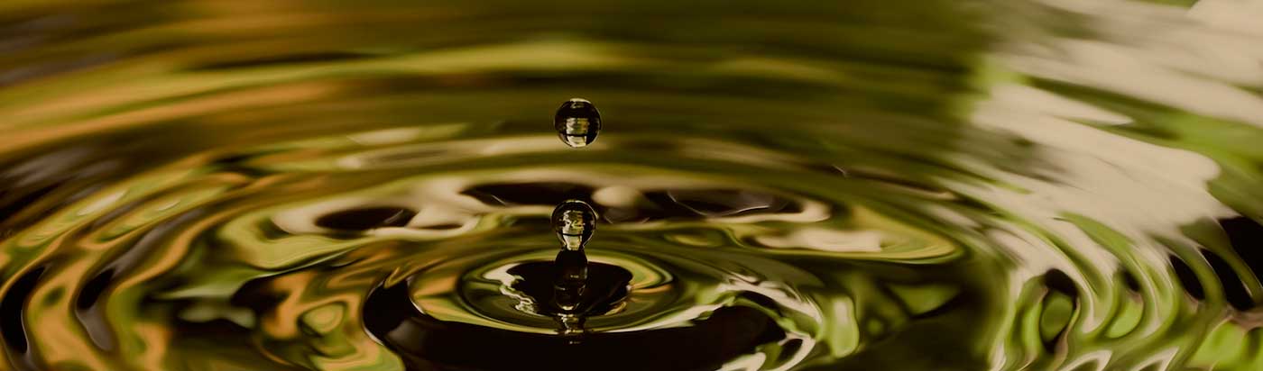 UM Sexual Ethics Information UM Sexual Ethics Information