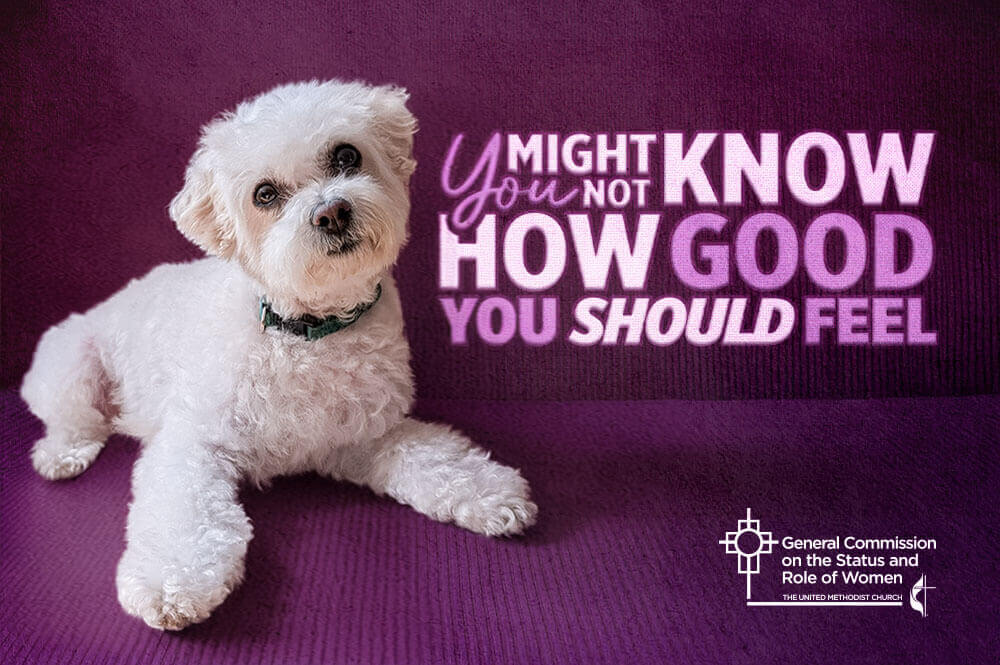 Alison, Rev. Dr. Tyler Schwaller’s Bichon Frisé, shown in the graphic. Dog photo courtesy of Schwaller.
