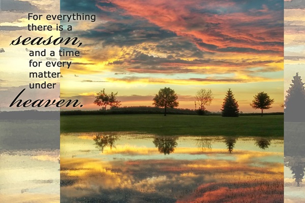 watch-night-new-year