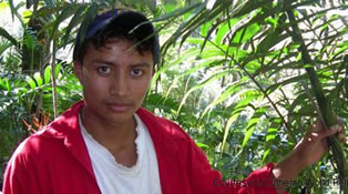 Eco-Palms will again supply fairly traded palm fronds harvested in Guatemala and Mexico. The palms must be ordered at least four to five weeks before Palm Sunday, March 24 in 2013.