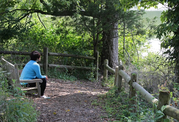 HealthSophiaThought2