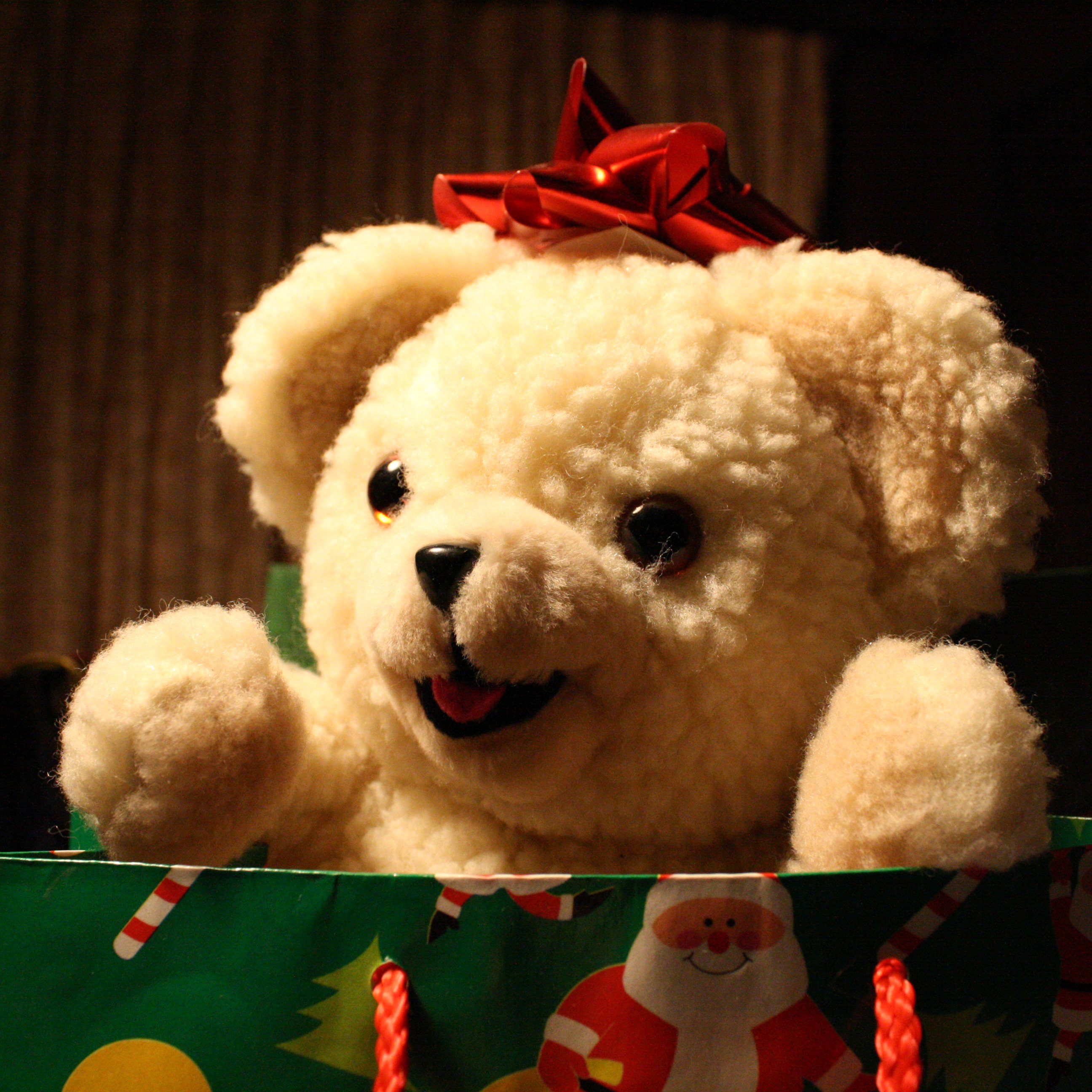 christmas teddy bear names
