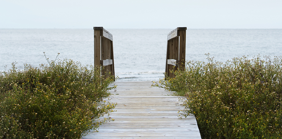 Discerning Gods Will