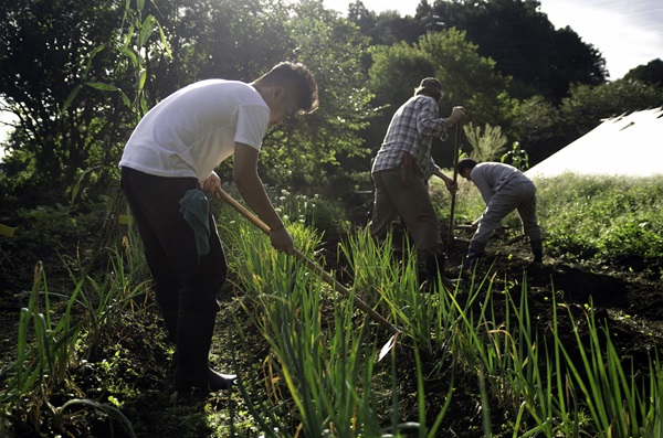 Global Ministries promotes care of the environment through eco-friendly advocacy and practices. Projects in Sustainable Agriculture and Development train people in the necessary skills in local sustainable food production to promote healthy diets and to reverse the ills of undernutrition. Image courtesy of Global Ministries.