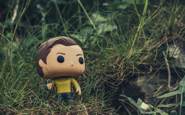 Photo by Dom Talbot, Unsplash.