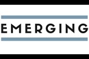 Emerging Anthology Logo. Courtesy of the Connectional Table. August 2019.