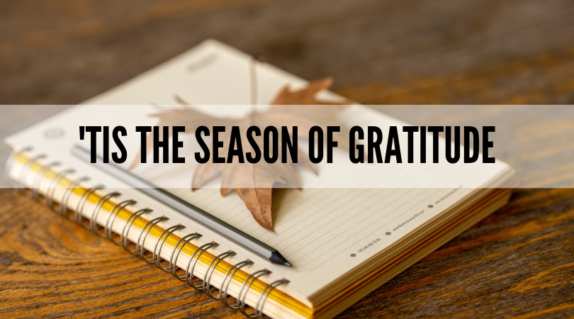 사진 엔진 에큐어트, 픽셀스