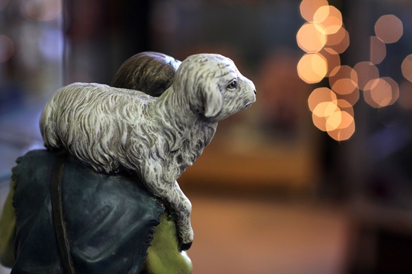 A nativity figure of a shepherd holds a young lamb. Photo by Kathleen Barry, United Methodist Communications. Photo by Kathleen Barry, United Methodist Communications.