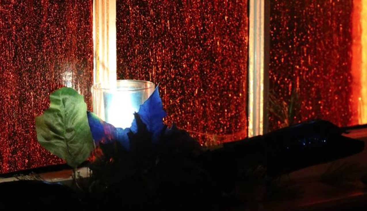 Vela encendida junto a una ventana. Foto por Steven Kyle Adair.