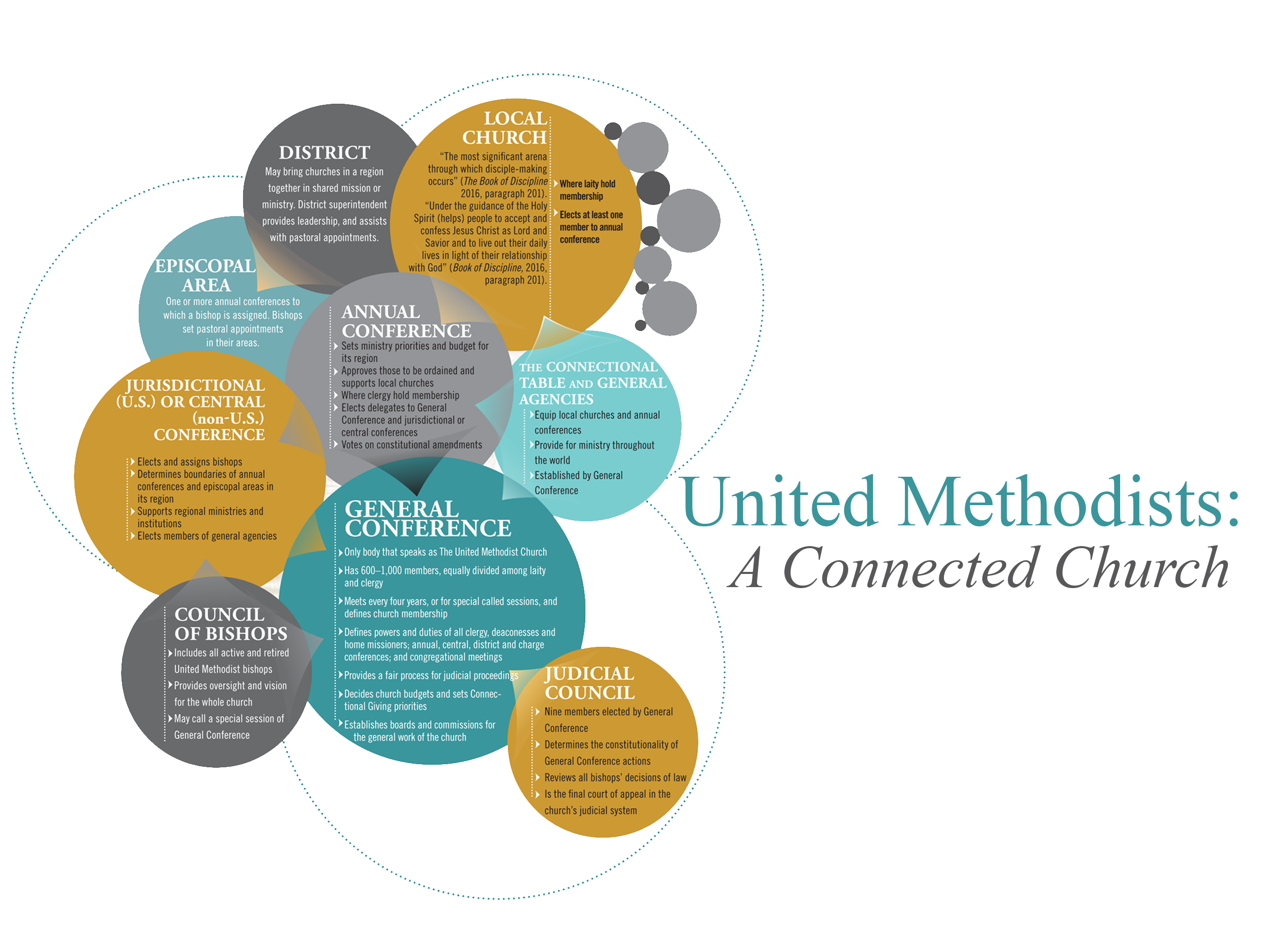 Connectional structure infographic