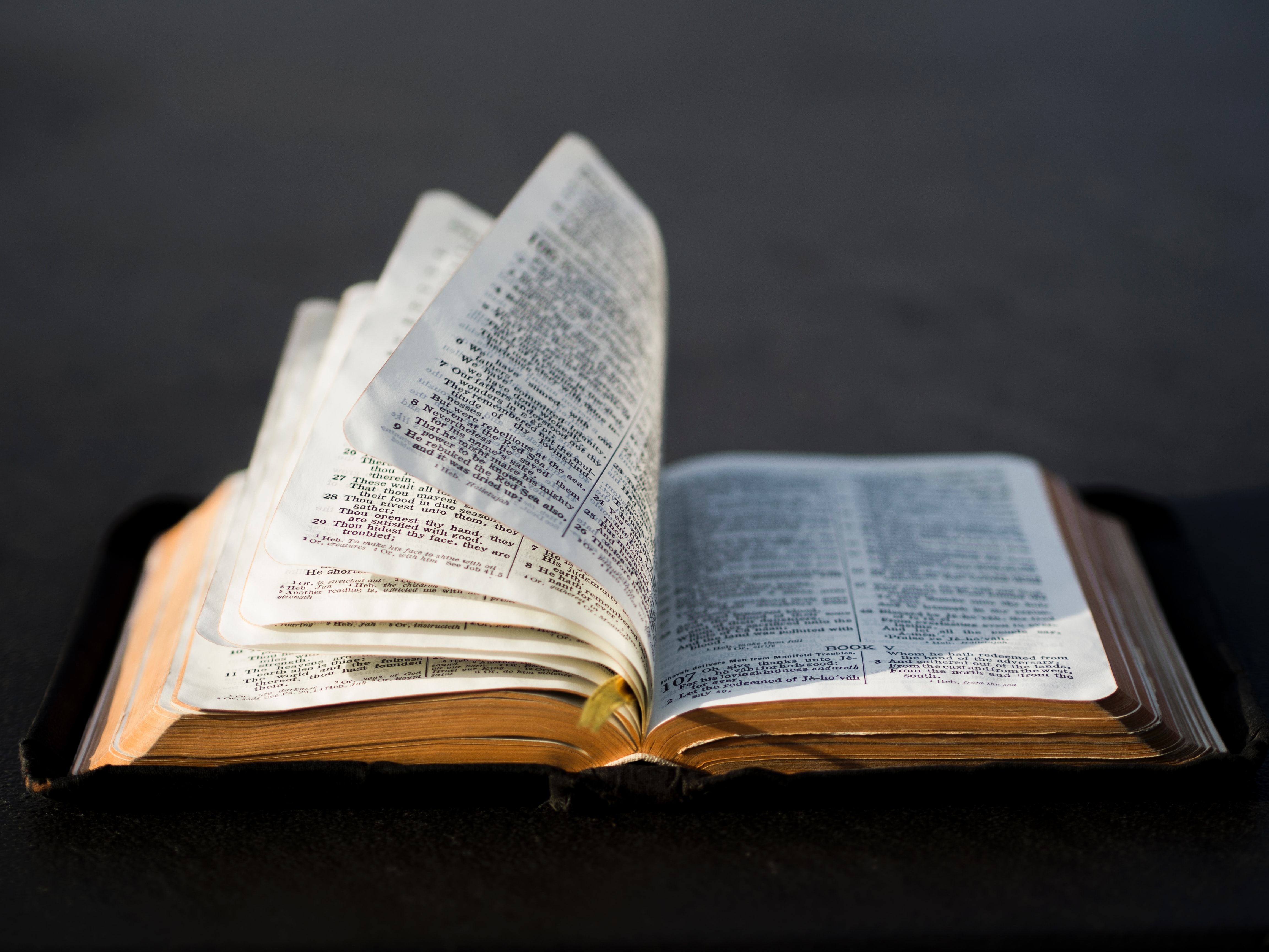 Cómo leer la Biblia como lo hacía Wesley