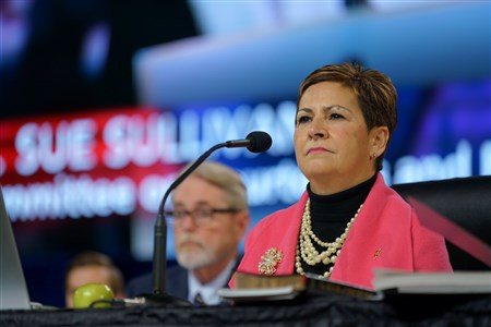 Foto cortesia del Concilio de Obispos.