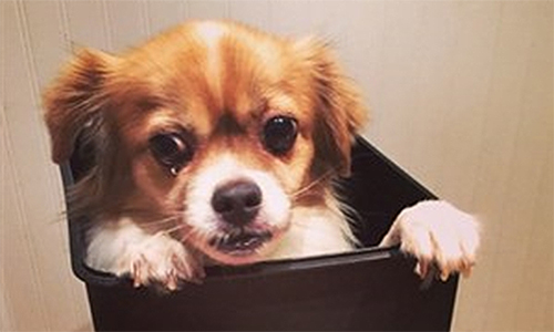 POG_Six_tips_to_inspire_generosity_for_an_incoming_leader_500x300