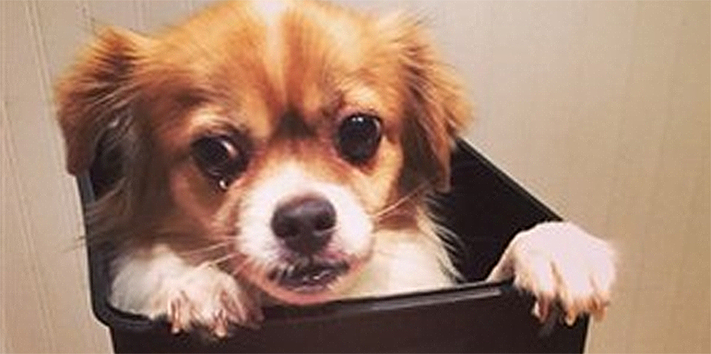 POG_Six_tips_to_inspire_generosity_for_an_incoming_leader_1000x399