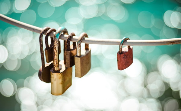 Photo by Felix Hanspach on Unsplash