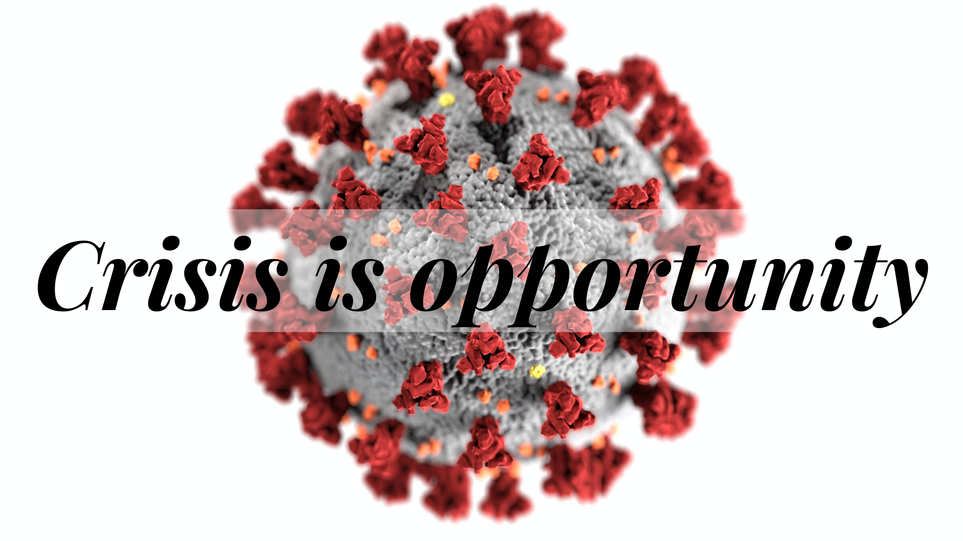 사진, 질병관리본부, 픽셀스