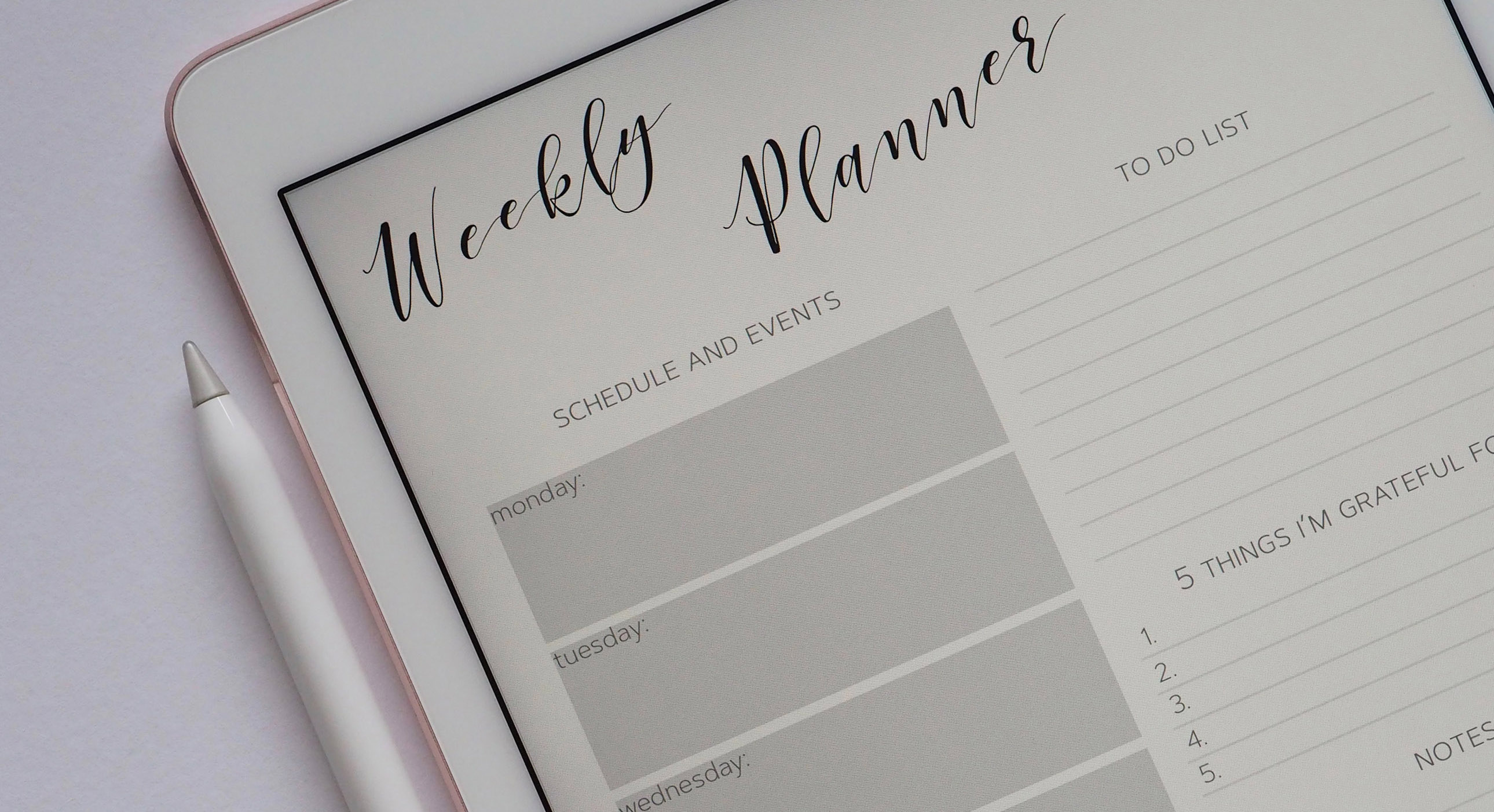 Photo by Plush Design Studio on Unsplash