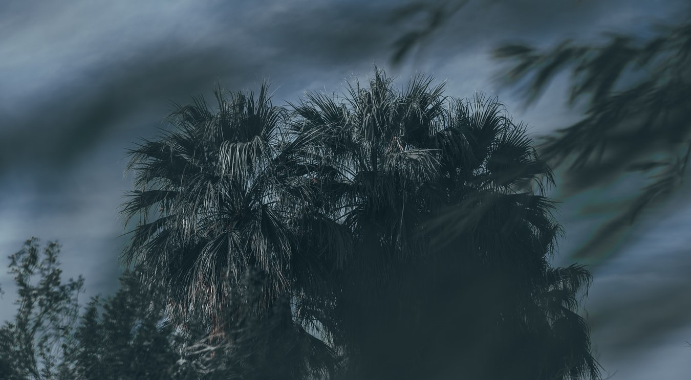 Foto de Jake Weirick, Unsplash.