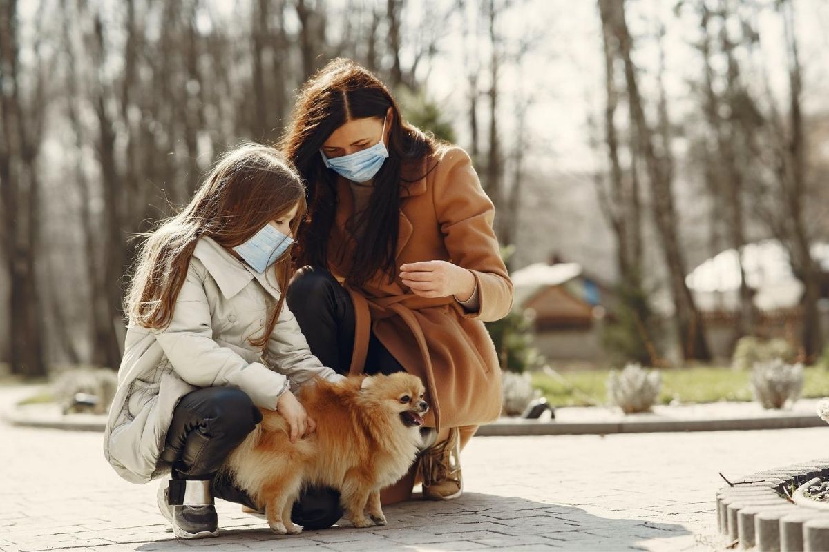 Many people are adding a furry friend to their families amidst the pandemic. (Photo courtesy of Gustavo Fring via Pexels.com.)