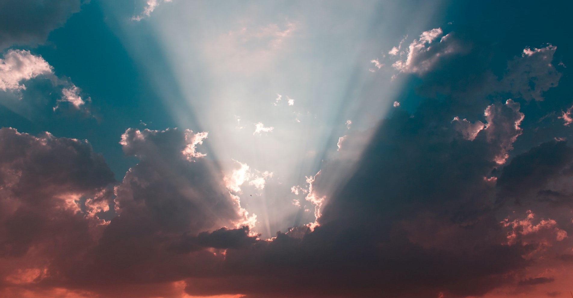 Foto de Aakanksha Panwar, Unsplash. 