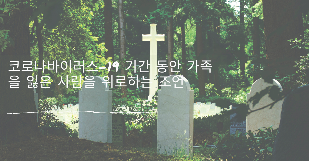 사진, 메티아스 줌머, 픽셀스