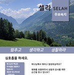2020 셀라 한국어 주보 속지 산