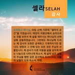 2020 셀라 한국어 플레쉬 카드 감사 1440x1440