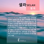 2020 셀라 한국어 플레쉬 카드 정의 1440x1440