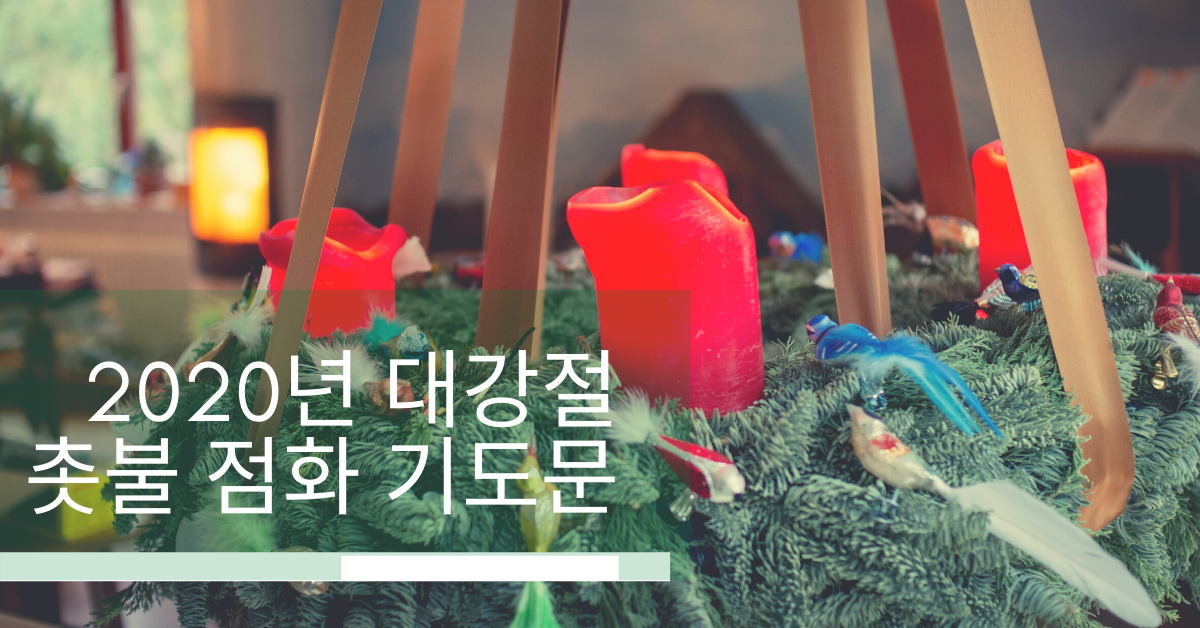 사진, 산드라 그루네와드, 언스플레쉬