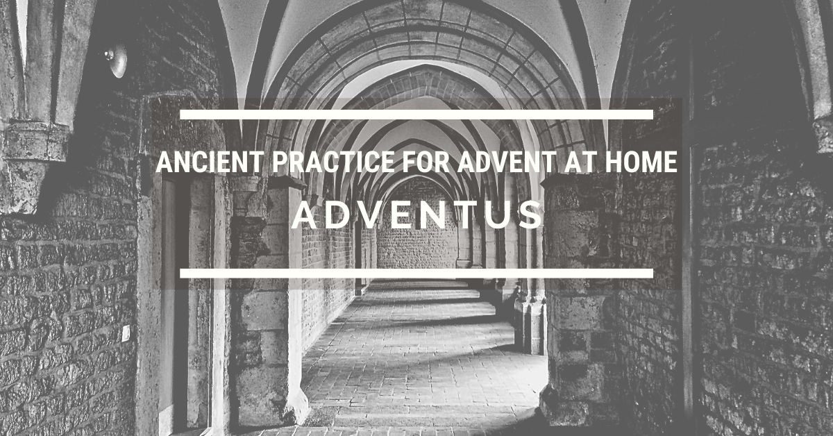 사진, 마이클 가이다, 픽사베이.