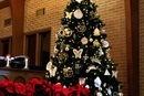 The Chrismon tree stands tall in the sanctuary of Cornelia United Methodist Church in Cornelia, Georgia. Photo by Claire DeLand, courtesy of Creative Commons.