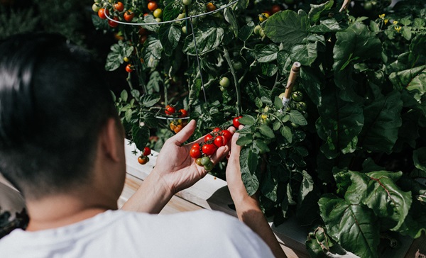 Photo courtesy of Priscilla Du Preez from Unsplash.