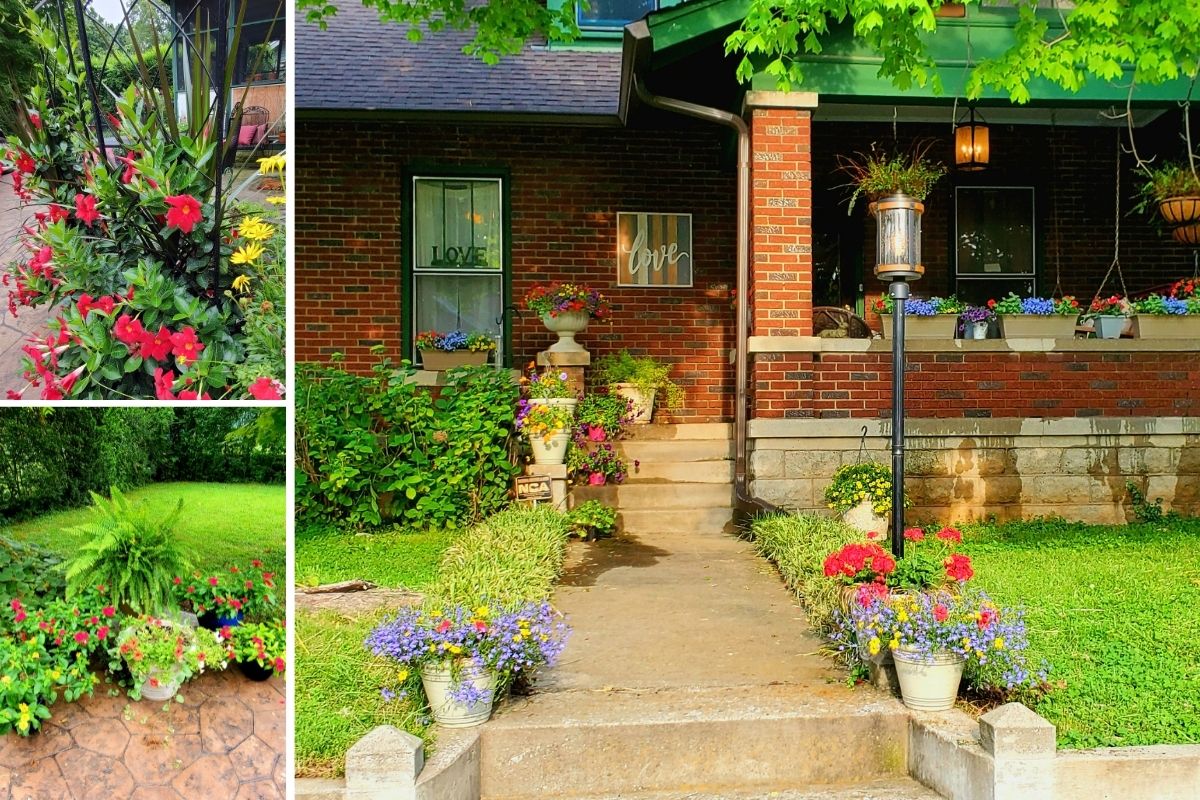 Laurens Glass goes crazy the moment she sees baskets of annuals. This year she landscaped with blue and ivory pots and loads of flowers. Containers of blooms lead up her driveway, around the porches and down the sides of the house. She notes that her back patio mandevillas are now over my head.  When asked what he loved most about her garden she said: "The best part was my older neighbors telling me how much they enjoyed seeing the flowers.. I hadn’t thought of that.. so that was nice." I think we can all agree that is very nice indeed. (Photos provided by Laurens Glass.)