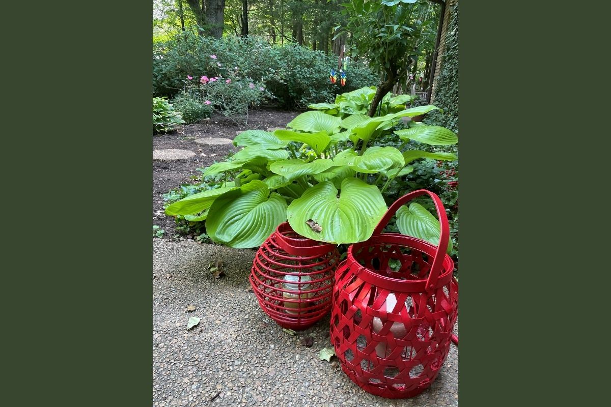 Bright red lanterns welcome visitors to part of Diane Degnan’s garden path. Diane’s backyard got a makeover courtesy of a radio station giveaway. (Photo courtesy of Diane Degnan.)