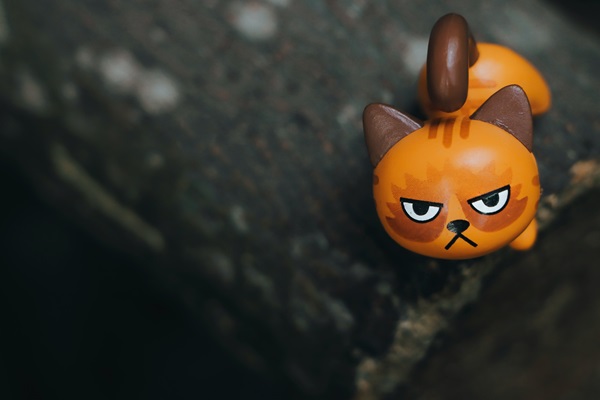 The posting of negative content on your church’s Facebook page may be something that is inevitable. When that happens, there are several ways to reach a mostly happy result. Photo by Niranjan Photographs, courtesy of Unsplash.