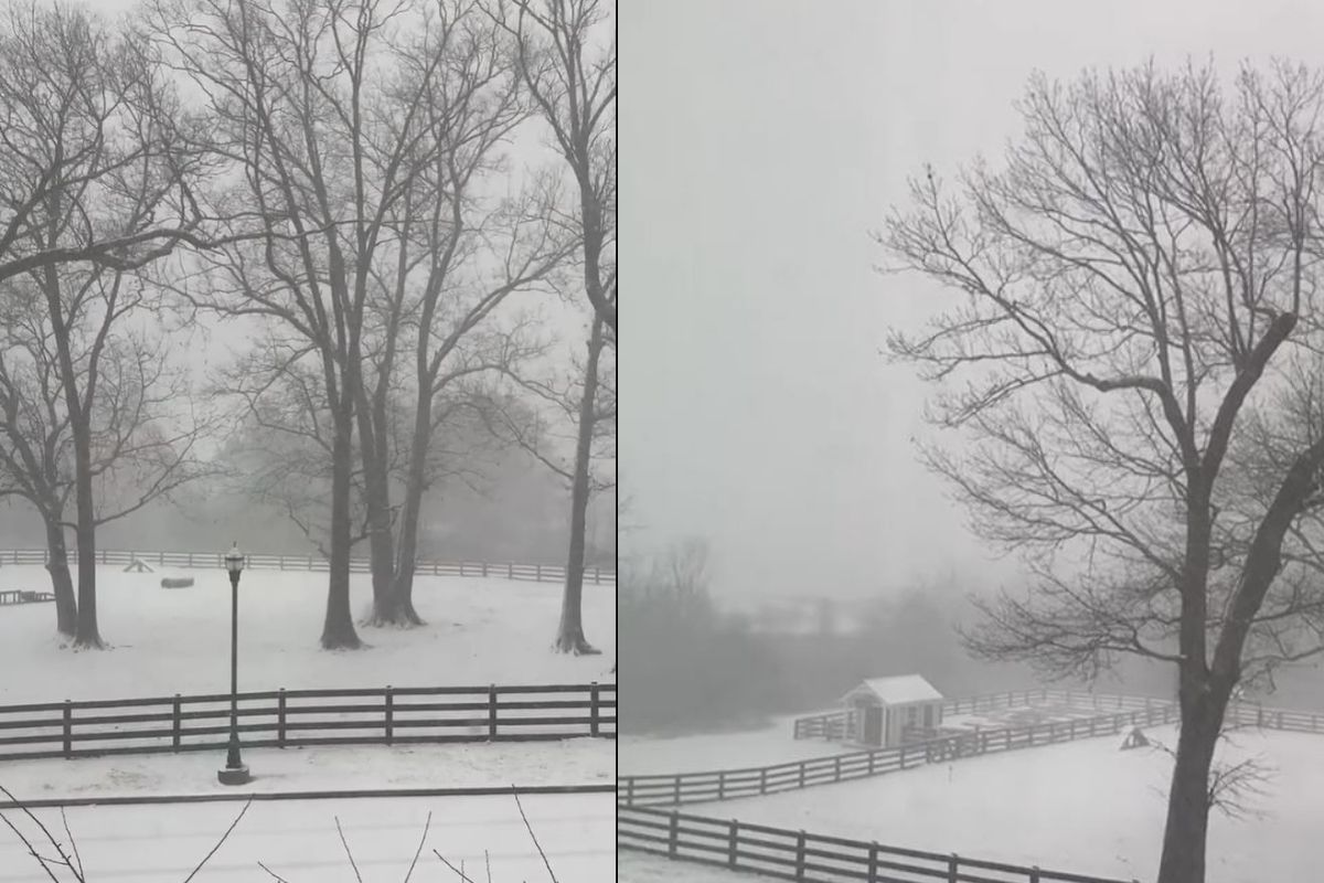 A beautiful view was had from the Sloane residence. (Images by Bridget Sloane.)