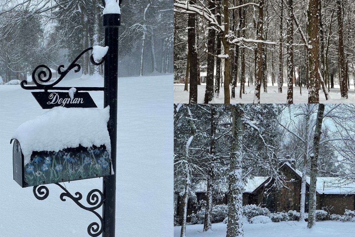 The Degnan household became a winter wonderland. (Photos by Diane Degnan.)