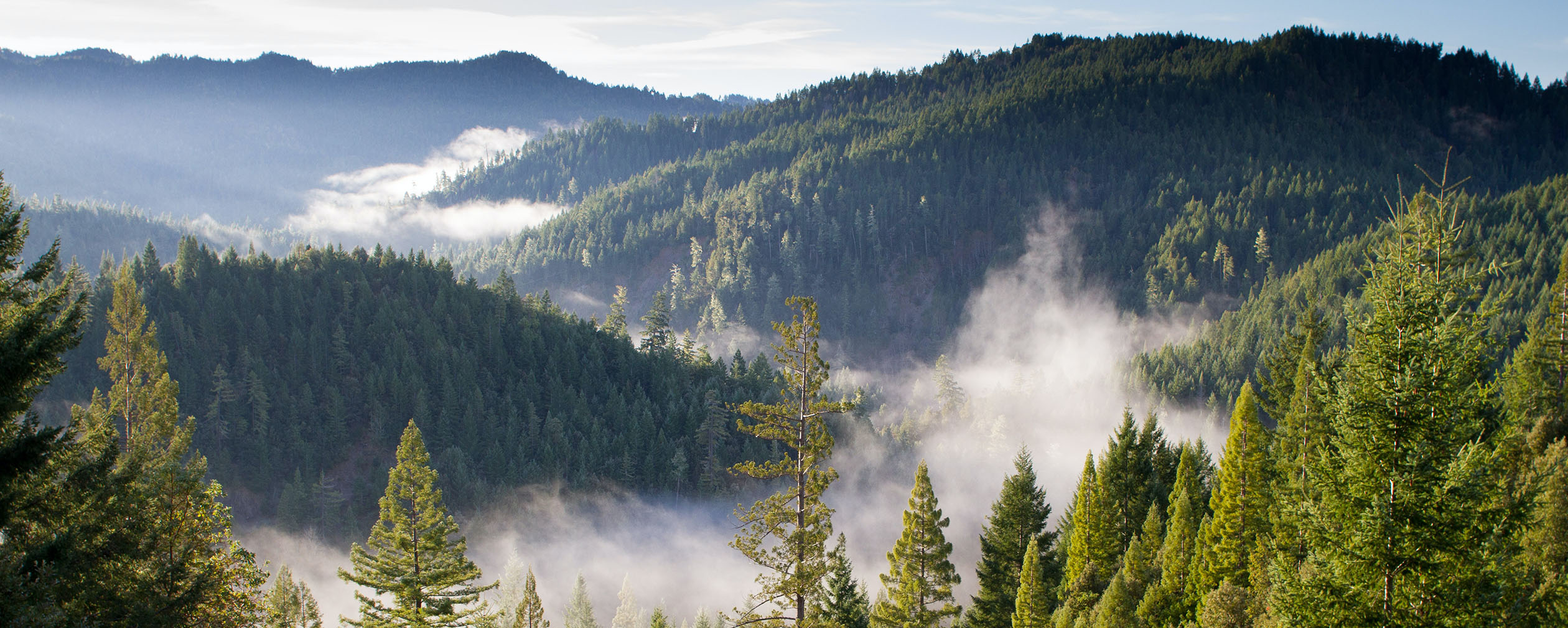 Image of mountains, trees and mist. Image by Paul Summers, Unsplash.com. Image of mountains, trees and mist. Image by Paul Summers, Unsplash.com.