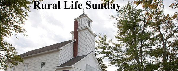 umnews.org website umnews.org website