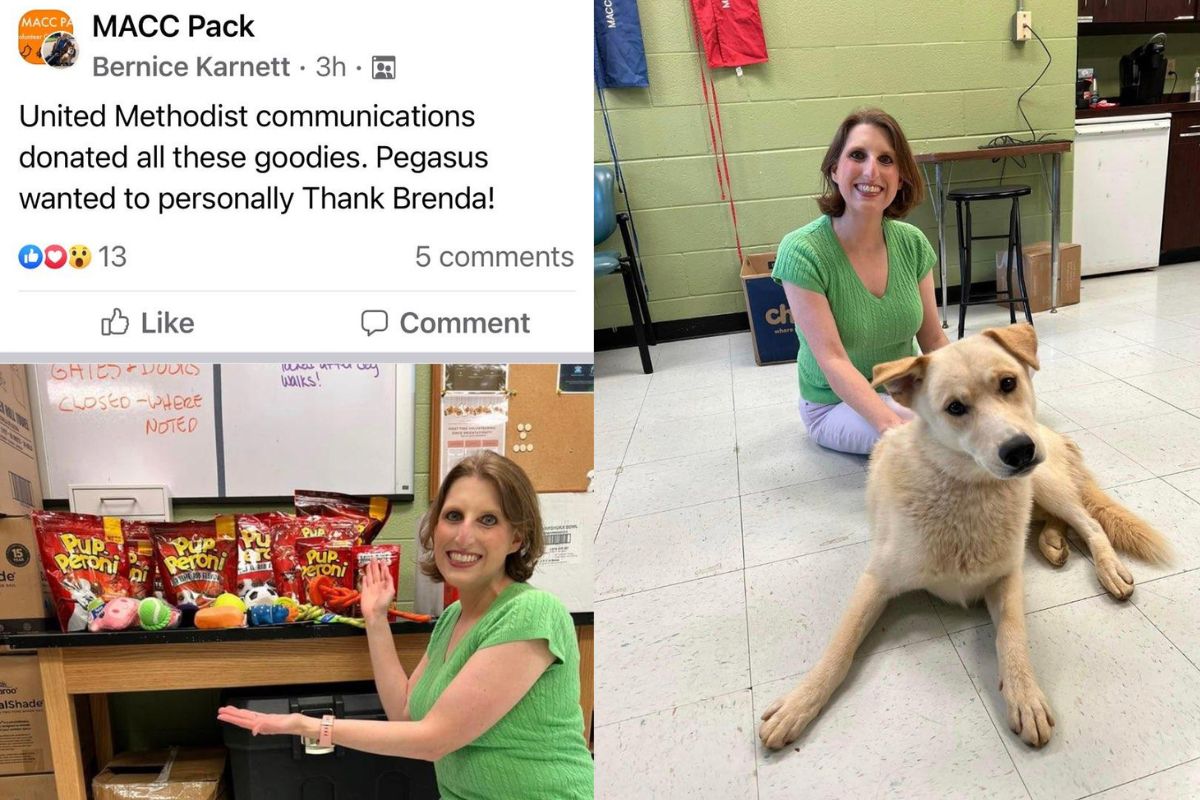 Brenda Smotherman delivered our pet need donation to Metro Animal Care and Control where the items received a warm welcome. One of the lead volunteers working with dogs was so excited about the Pup-Peroni that she brought out Pegasus who tested the product and gave it 4 paws up and thank you cuddles. [This lucky pup has since been adopted and not by Brenda though she was very tempted.] Bernice captured photos and shared them via the MACC Pack volunteer Facebook group to give us a shout out. (Photo by Bernice Karnett.)
