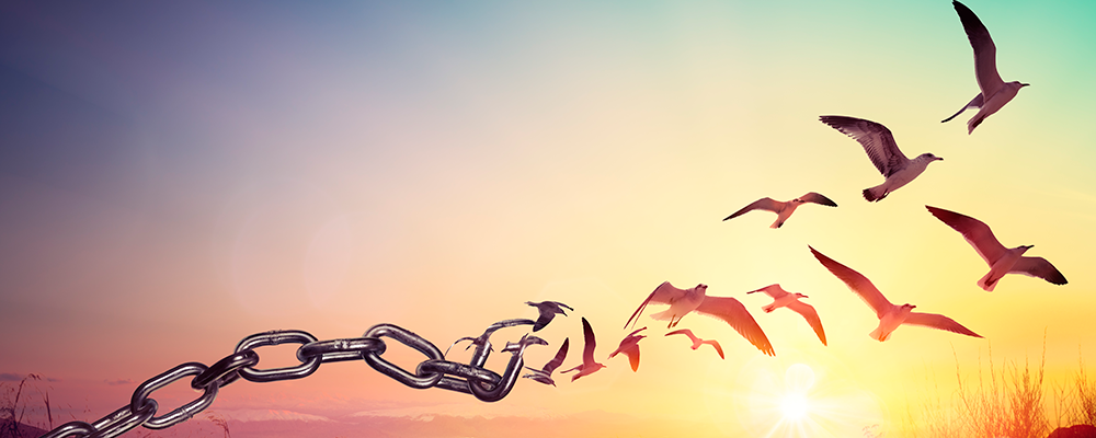 Photo credit: Getty Images