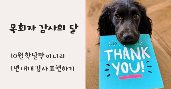 사진: 하위 알, 언스플레쉬.