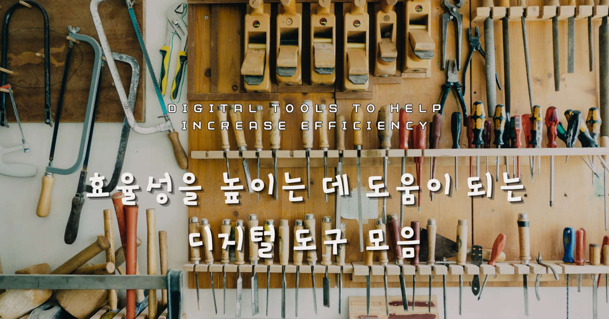 사진: 반 이미지, 언스플레쉬.