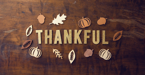 사진: 프로 쳐치 미디어, 언스플레쉬.