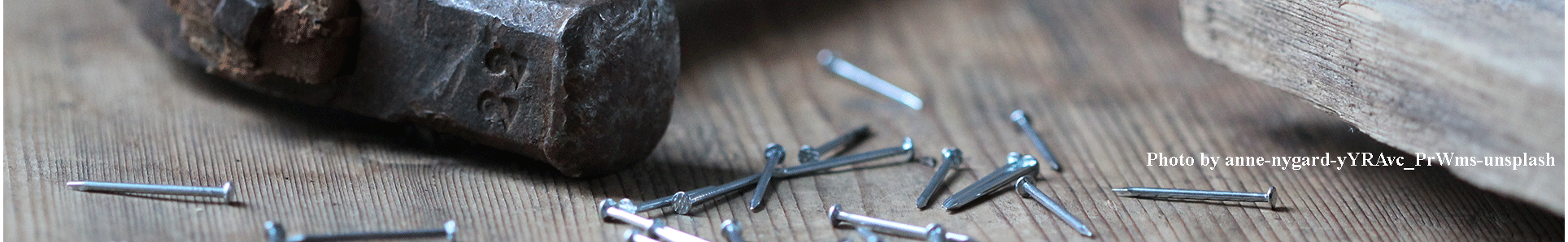 Photo by anne-nygard-yYRAvcPrWms-Unsplash Photo by anne-nygard-yYRAvcPrWms-Unsplash