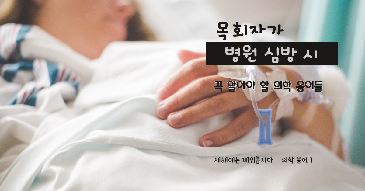 사진: 스티븐 앤드루스, 언스플레쉬.