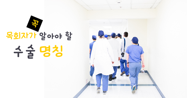 사진: 루이스 멜렌데즈, 언스플레쉬.