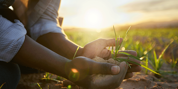 Photo credit: PeopleImages/gettyimages