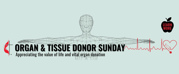 2024_MMM_Nov_10_Organ_Tissue_Donor_1000x500