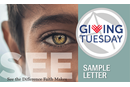 2024_Adv_EOY_Giving_Tuesday_Sample_Letter_tag_grid_500x300